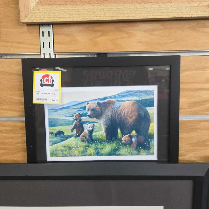 BEAR ART LS