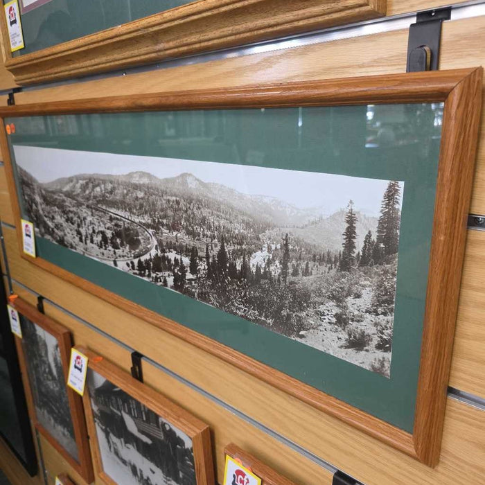 TRUCKEE RAILROAD ART