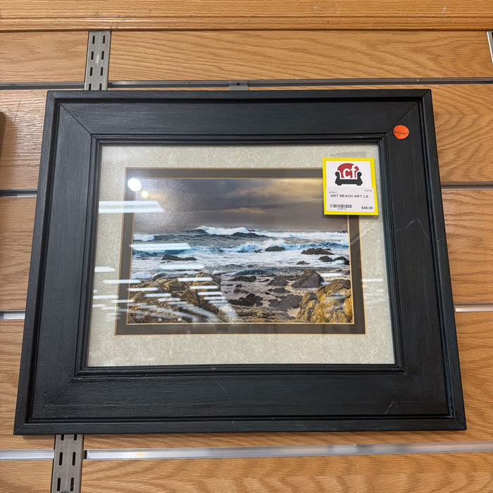 BEACH ART LS
