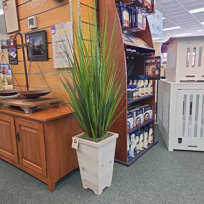 SILK PLANT BT