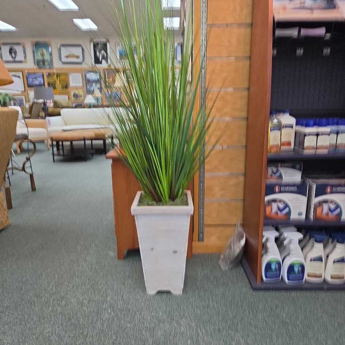 SILK PLANT BT
