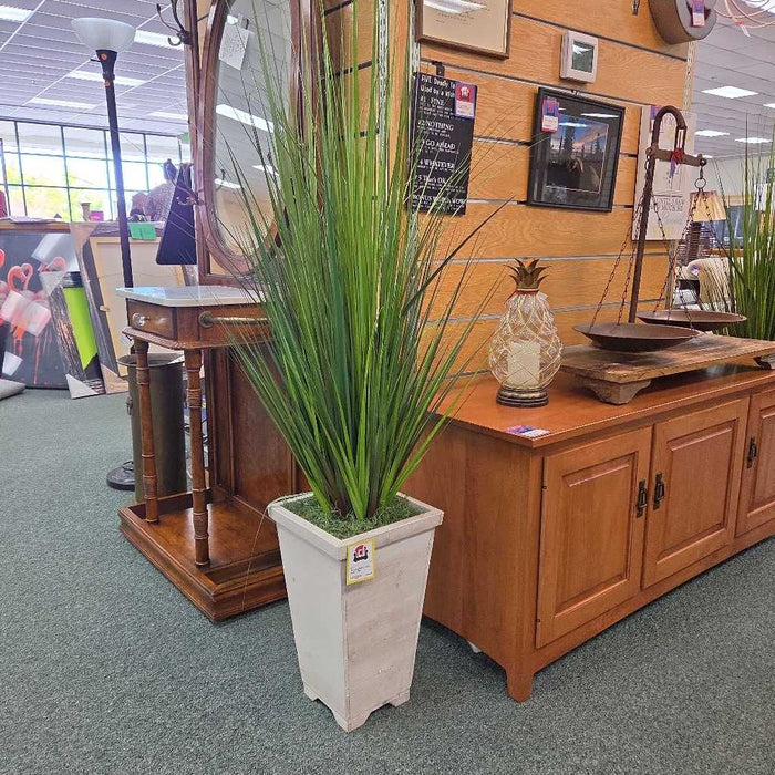 SILK PLANT BT