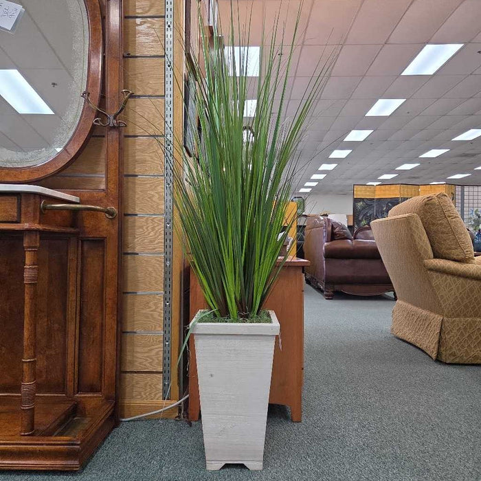 SILK PLANT BT
