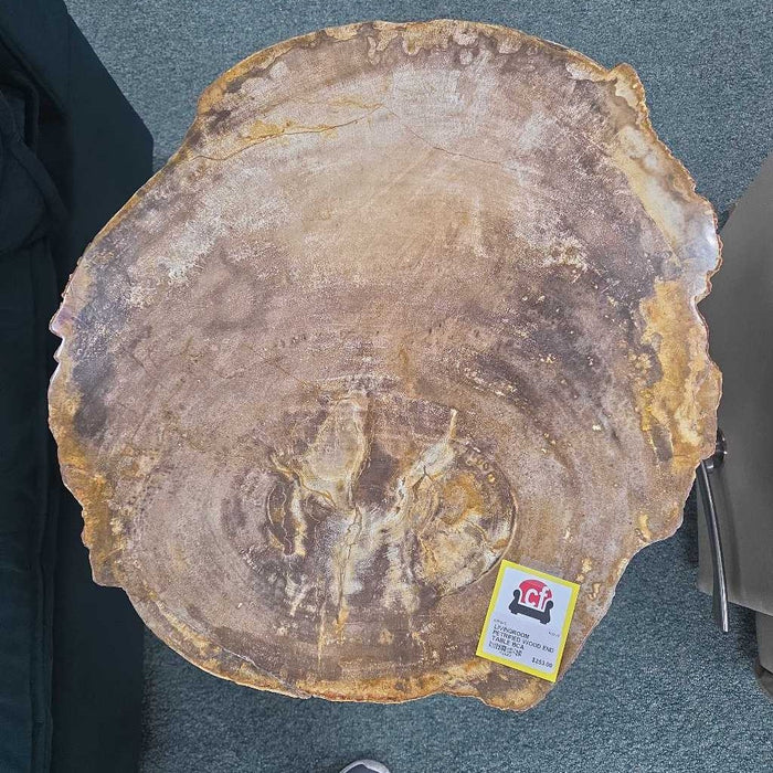 PETRIFIED WOOD END TABLE BCA