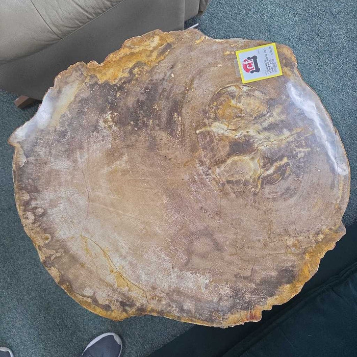 PETRIFIED WOOD END TABLE BCA