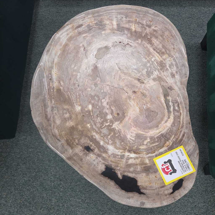 PETRIFIED WOOD END TABLE BAH