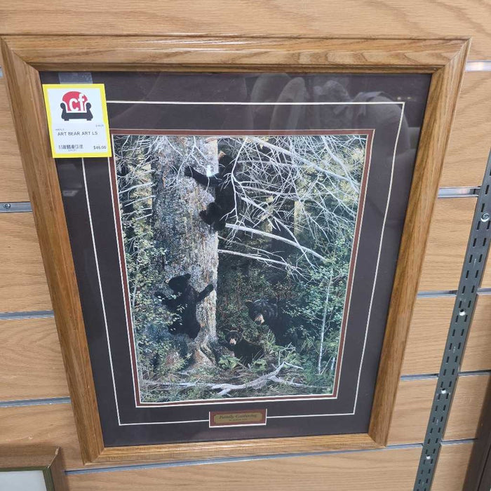 BEAR ART LS