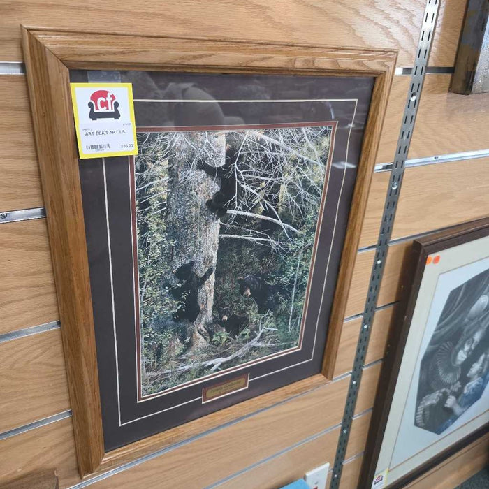BEAR ART LS
