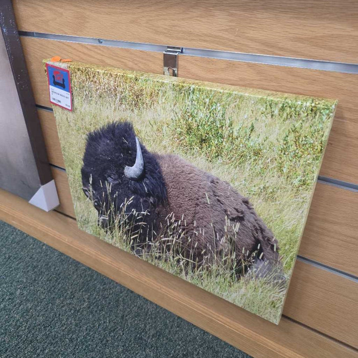 BISON ART