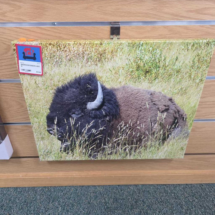 BISON ART