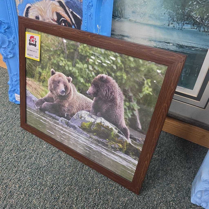 BEAR ART LS