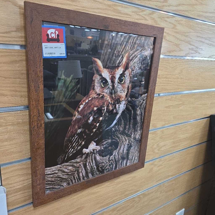 OWL ART LS