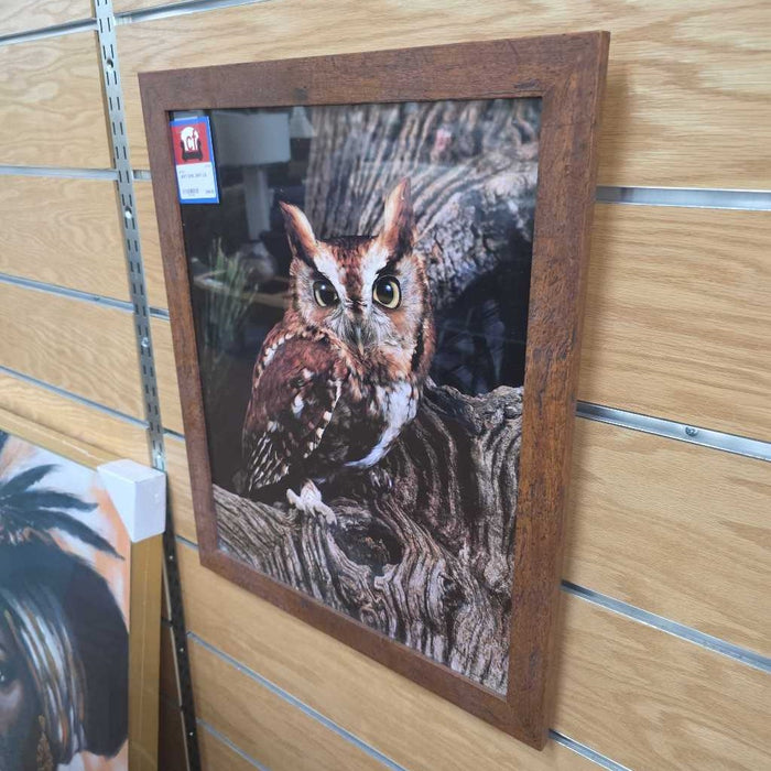 OWL ART LS