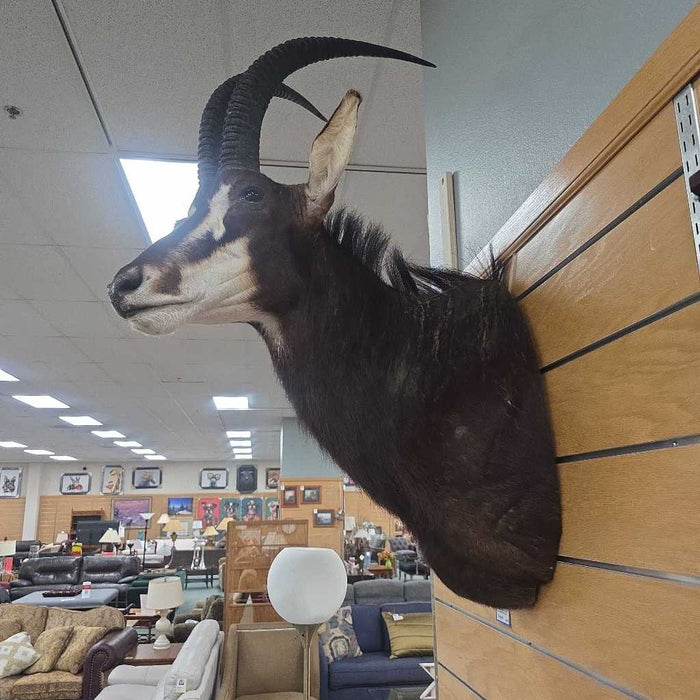 SABLE MOUNT ALK