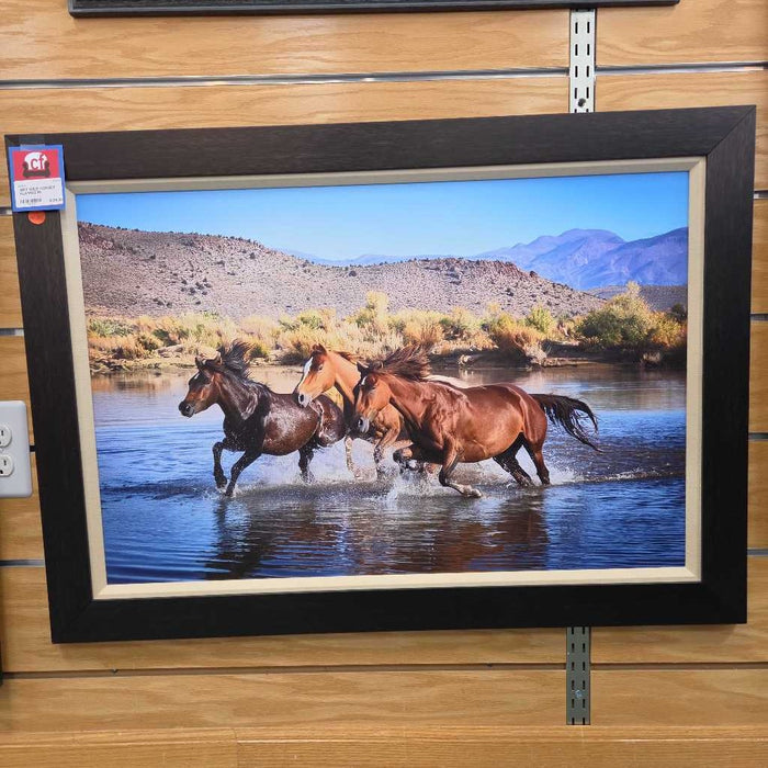WILD HORSES PLAYING MI
