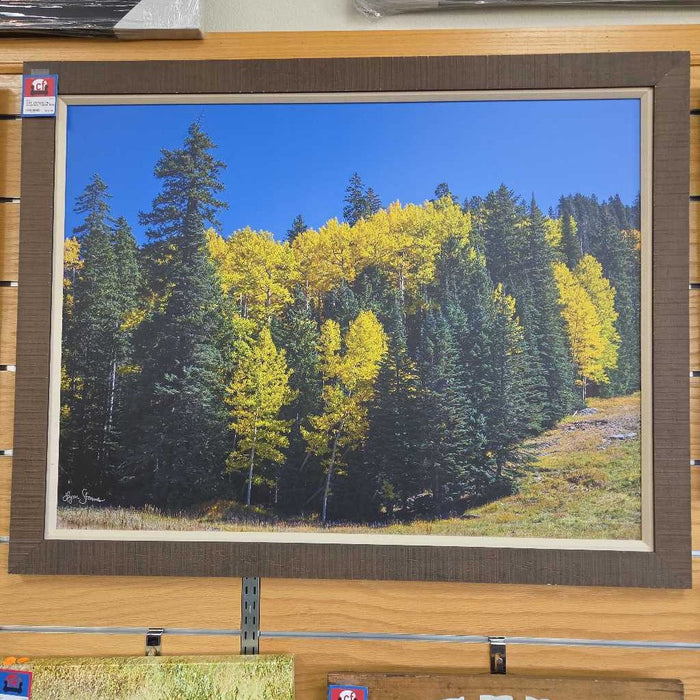 VINTAGE FALL IN SIERRA TAHOE BAH