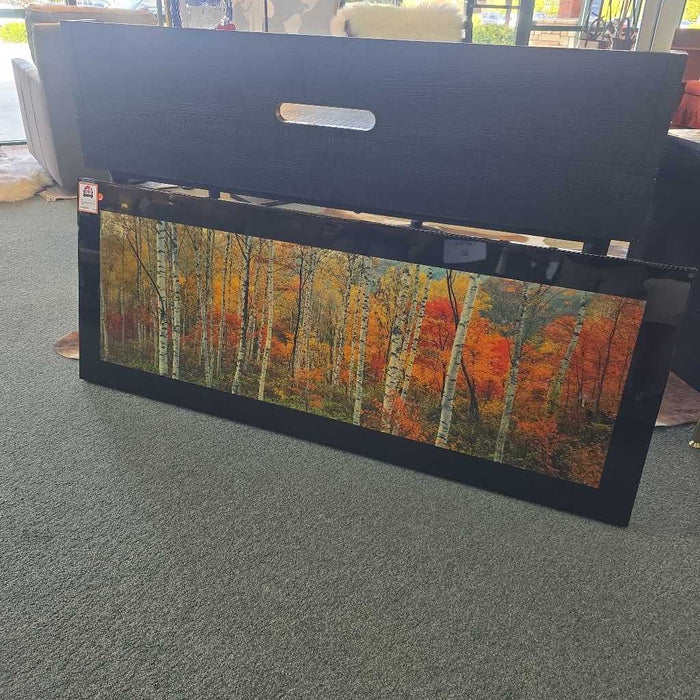 BIRCH TREE ART BTK