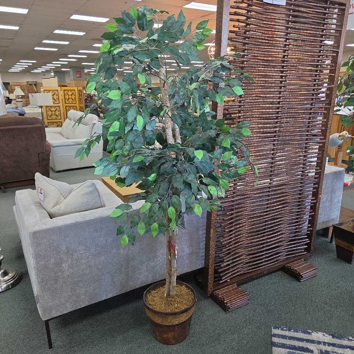 SILK TREE SK