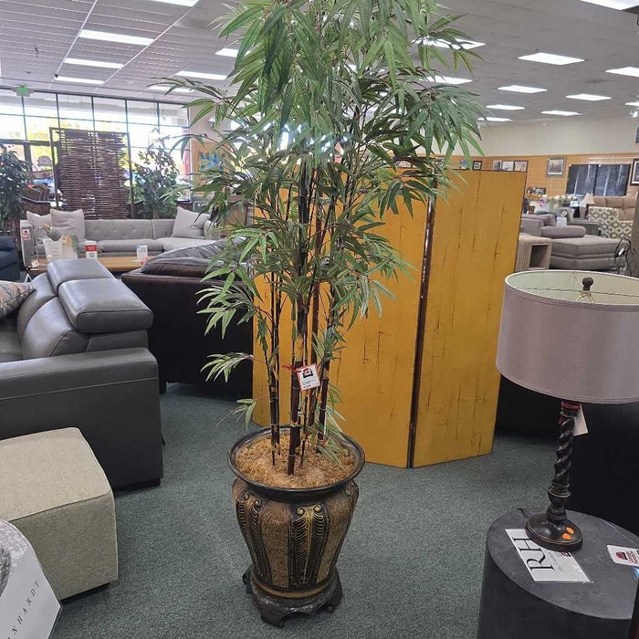 SILK PALM TM