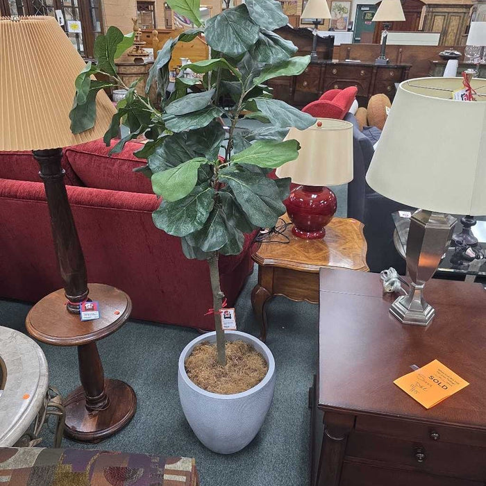 SILK FIG SK