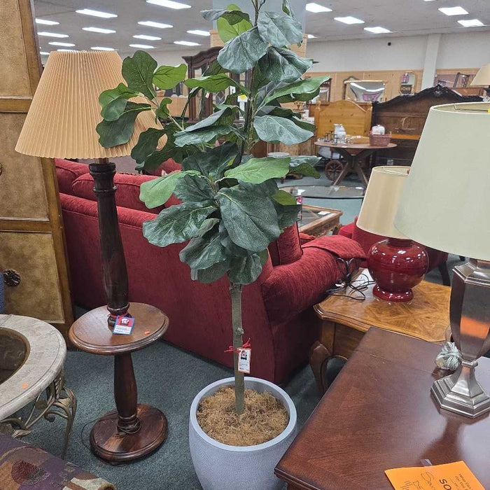 SILK FIG SK