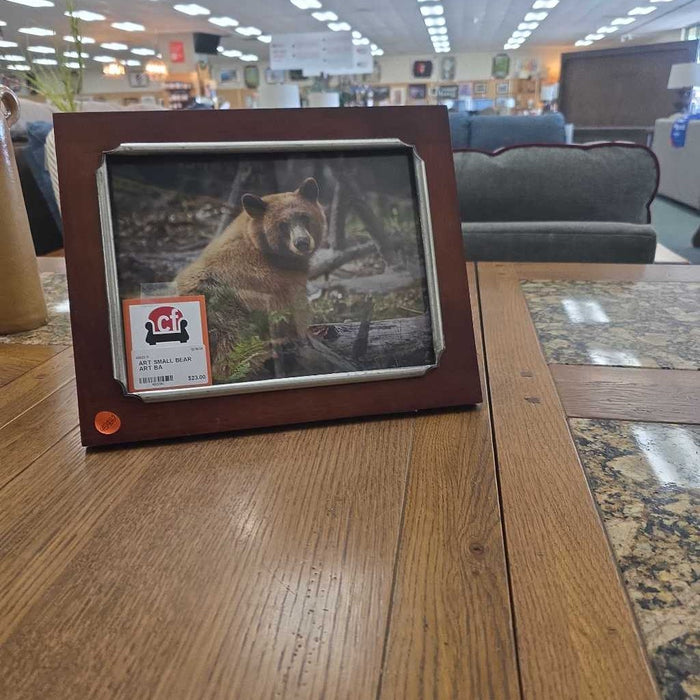 SMALL BEAR ART BA