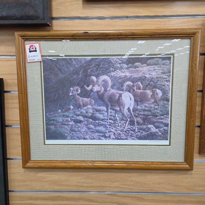 BIGHORN ART KL