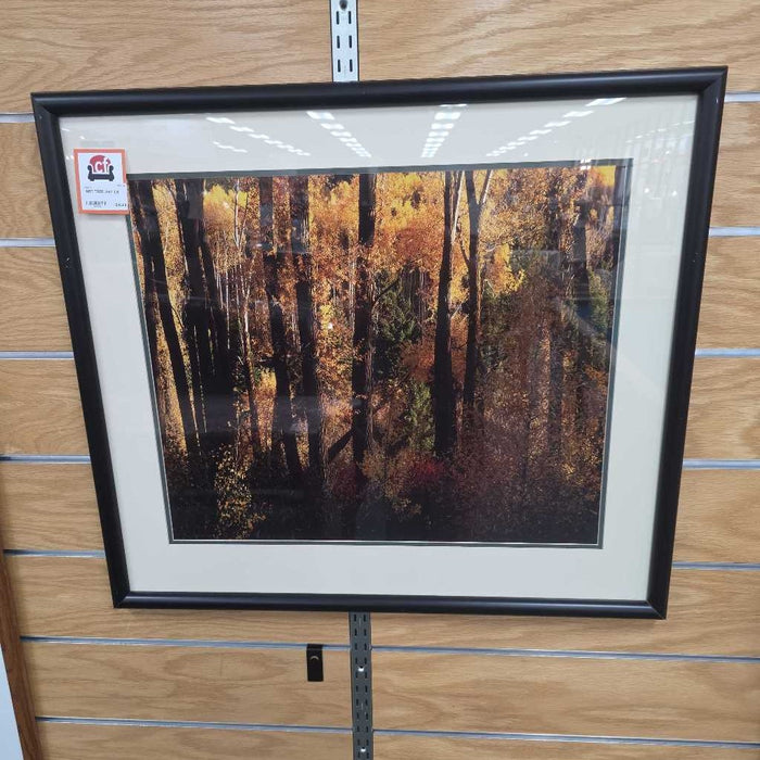 TREE ART LS