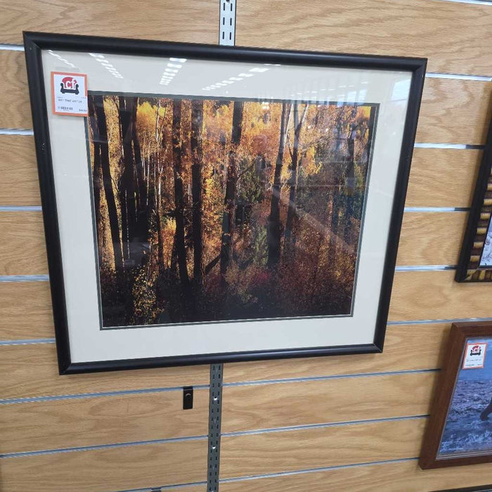 TREE ART LS