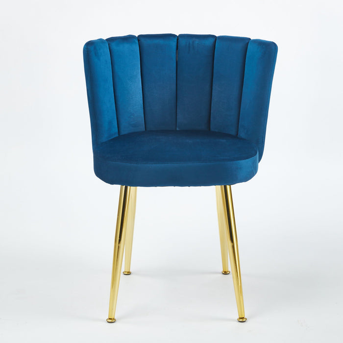 Ergonomic Dining Chair (Set of 2)