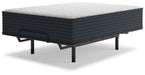 M43731