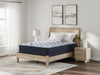 M49651