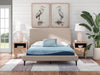 M20421
