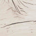 B2310/12/50(2)/84/87 : B2310B42