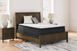 M41251